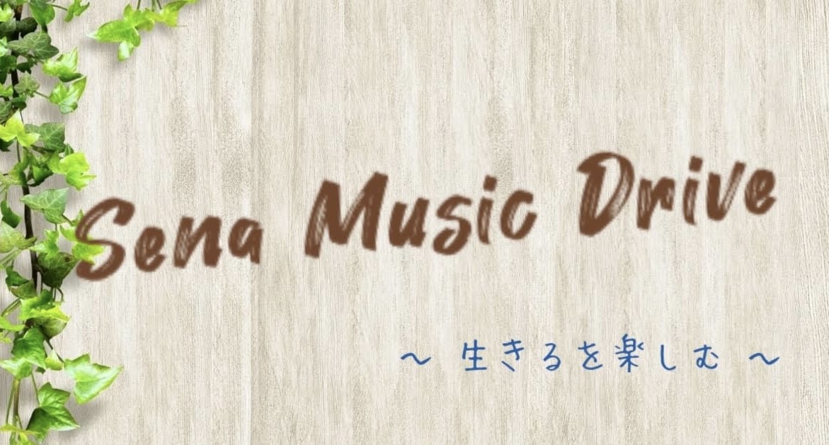 Sena Music Drive